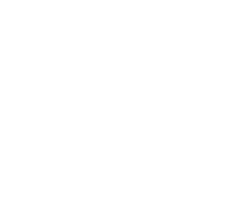 language-icon